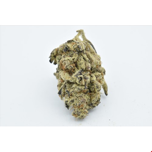 purple candy bee.JPG